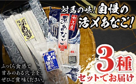 【1週間以内発送】対馬 産 活〆 あなご セット [WAC001] 煮あなご 佃煮 穴子 アナゴ あなご重 スピード発送 最速発送 最短発送