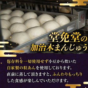 a959-C 加治木まんじゅう詰合せ・プレーンのみ計18個【堂免堂】姶良市 和菓子 まんじゅう 饅頭 加治木饅頭 酒まんじゅう 手づくり お菓子 おやつ スイーツ デザート お茶請け お茶菓子 郷土菓子 セット 詰め合わせ 冷凍