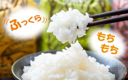 佐護 ツシマヤマネコ 米 みつめるにゃんBOX ダブル セット  米 玄米 減農薬 ねこ [WAP002]