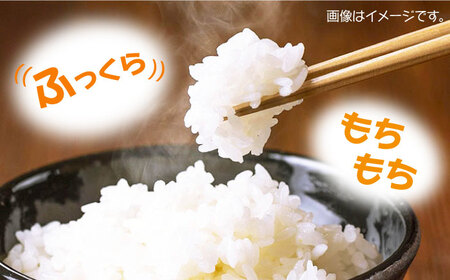 【2025年10月頃より順次発送】佐護 ツシマヤマネコ 米 5kg   米 玄米 減農薬 ねこ  [WAP001]