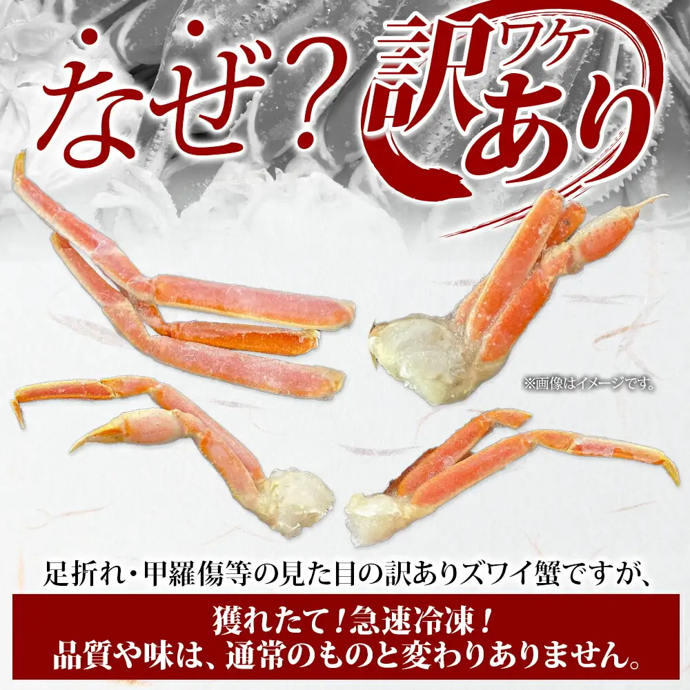 訳あり ズワイガニ ボイル 計1kg 数量限定 カニ 蟹 かに 北海道 3581
