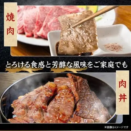 飛騨牛 厳選カルビ・赤身(焼肉・BBQ用) 1kg(各500g)　黒毛和牛　小分け　A4～A5等級_肉 焼肉 牛肉 やきにく ヤキニク バーベキュー  肉 飛騨牛 牛肉 うし ビーフ_【配送不可地域：離島】【1543764】