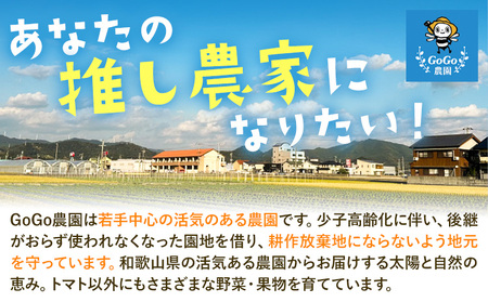 みかん 八朔 ご家庭用 10kg サイズ混合