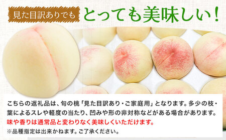 岡山白桃 1.4kg フルーツファーム岡山
