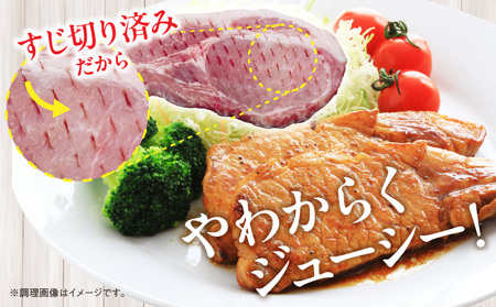 宮崎県産 豚ロース (トンテキ・とんかつ用) 計2kg 肉 豚肉 ポーク 国産 食品 万能食材 真空パック 簡単調理 おかず お弁当 おつまみ 豚丼 焼肉 炒め物 カレー ステーキ おすすめ ご褒美 お祝い 記念日 日南市 送料無料_CD56-24