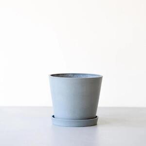 【鉢付き】ガジュマル Sサイズ【鉢：ブルーグレー】 ALQ0001VC04