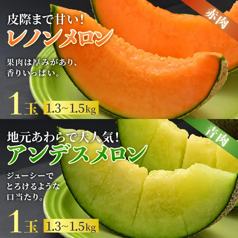 【先行予約】佐藤農園の赤肉と青肉食べ比べ計2玉（レノンメロン・アンデスメロン）農家直送 秀品 お届け！ / フルーツ くだもの 特産 旬 夏 果物 完熟  メロン 朝どれ 美味しい お取り寄せ 贈答 ※2026年6月中旬より順次発送 [aw069-a011]