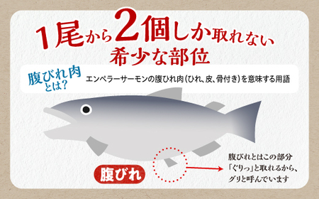エンペラーサーモンの希少部位！ 1kg（約15枚入） 腹ビレ肉 通称「グリ」_T005-1182