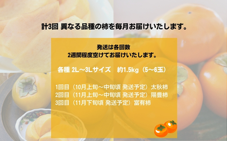【先行予約】令和8年産 [定期便] 柿 3種食べ比べ 合計 約4.5kg 太秋柿 陽豊柿 富有柿 2L ～ 3Lサイズ 各5-6個 入り《10月上旬より収穫でき次第発送 かき お楽しみ フルーツ カキ 果物 くだもの 産地直送 先行予約 岐阜県 本巣市 高橋柿ファーム [mt1660_26]	