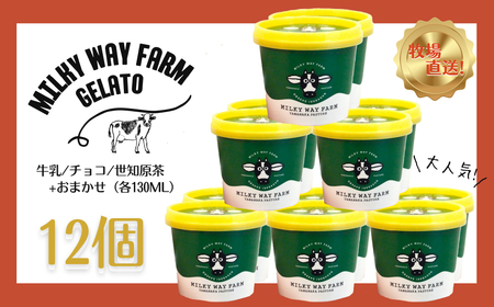 《定期便》山中牧場「MILKY WAY FARM」ジェラート(１２個)【３回お届け】