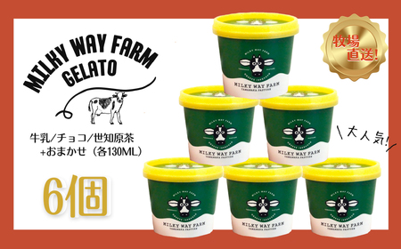 《定期便》山中牧場「MILKY WAY FARM」ジェラート(６個)【３回お届け】
