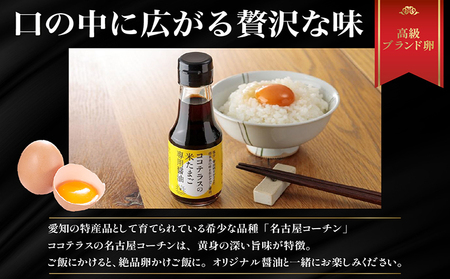 【高級】名古屋コーチンセット（2パックと醤油）【JGAP認証】 卵 卵かけご飯 TKG 高級卵かけご飯 朝食 朝ごはん 贈り物 ギフト たまご醤油 卵かけご飯用醤油 手土産 プレゼント 卵かけご飯セット 絶品 グルメ お取り寄せ 愛知県 常滑市