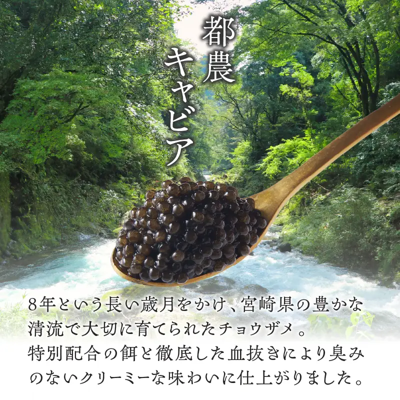 【2週間以内発送】都農キャビア(計10g) 魚 魚介 魚卵 国産_T047-0015