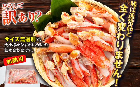 ズワイガニ 訳あり生本ｽﾞﾜｲｶﾞﾆ爪下棒むき身約3kg かに 蟹 カニ ニューバーク|D047-116018