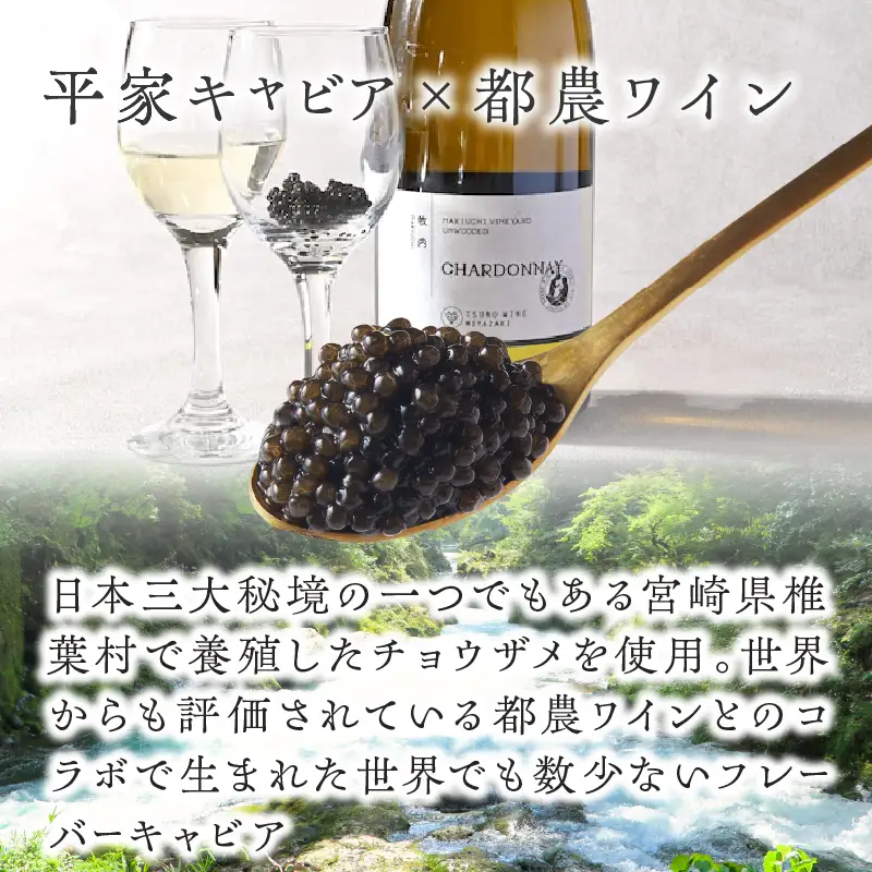 【2週間以内発送】都農ワインキャビア(計20g) 魚 魚介 魚卵 国産_T047-0035
