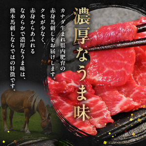 オアシス九州【熊本県内と畜】 馬刺し 赤身 200g 県内肥育 馬肉 ブロック おつまみ 冷凍 _U117-0027