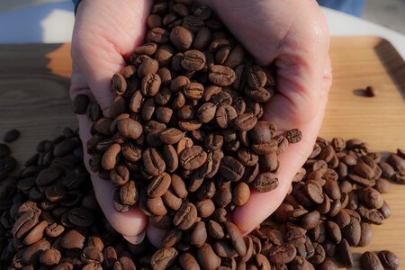 スペシャルティコーヒー豆200g×２種　(浅煎り・中煎り) 