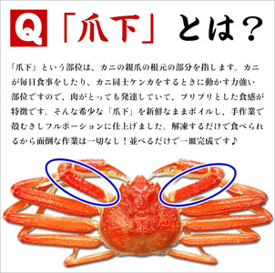 ボイルずわいがに 爪下棒肉 ポーション 1kg（40～70本入り）[024-b029]