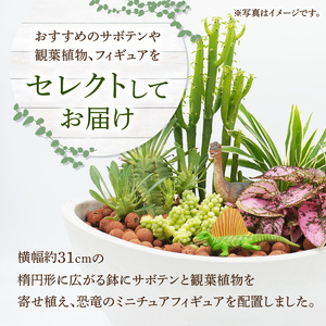 サボテンと観葉植物のオリジナル寄せ植え【恐竜セット】[133O05] 本格サボテン 産地直送サボテン フィギュア付き インテリア サボテンギフト プレゼント オシャレ かわいい サボテン寄せ植え オリジナルサボテン 人気サボテン 多肉植物 