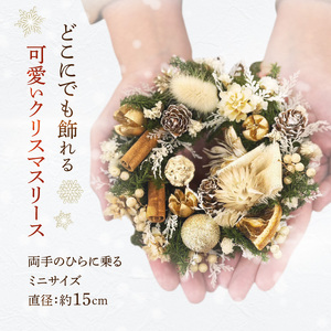 ミニクリスマスリース[133O14]　クリスマス飾り クリスマスリース クリスマスグッズ クリスマスパーティ オーナメント クインテリア フラワーリース 花 おしゃれ かわいい クリスマスツリー クリスマスデコレーション ギフト プレゼント