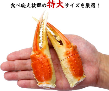 ボイルずわいがに爪 1kg (解凍後700g / 10～25個入り）[024-b028]