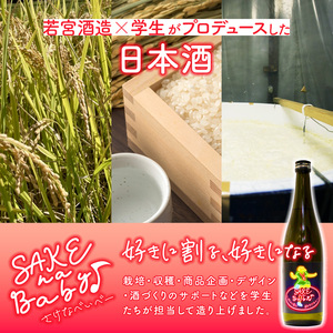 日本酒 SAKE na Baby 720ml×2本【 日本酒 酒 若宮酒造 贈り物 国産 プレゼント ギフト 贈答 こだわり 特産品 オリジナル 綾部 京都 】