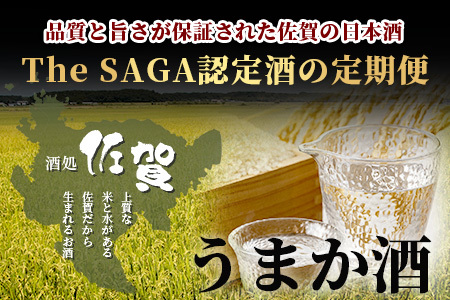 【定期便】【３ヶ月】TheSAGA認定酒 おたのしみ定期便【毎月1回720ml×2本を計3回お届け】[佐賀県 鹿島市 定期便 3回 お酒 酒 おさけ 日本酒 TheSAGA認定酒 TheSAGA 認定酒 純米吟醸酒 純米酒 特別純米酒 720ml 2本 おまかせ 定期発送 人気 おすすめ 送料無料] F-64
