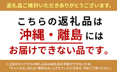 サクレレモン40個大容量セット [ シャーベット かき氷 アイス ]  