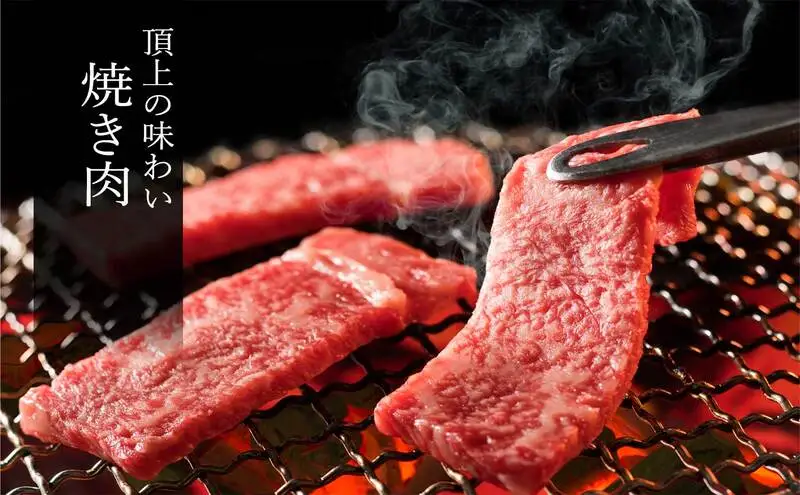 松阪牛 おまかせ6種 焼肉 600g 食べ比べ 牛肉 高級 和牛 焼肉 ブランド牛 黒毛和牛 松阪