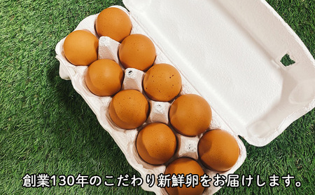 パイエッグ赤卵60コ入り [ 赤たまご 新鮮 濃厚 コク 生卵 たまご 鶏卵 小分け 鳥鹿養鶏園 ] 