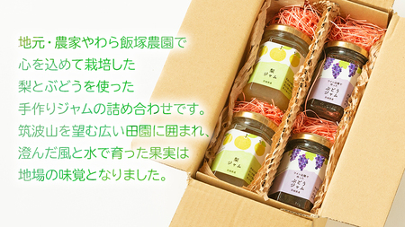 地元農家が作る つくばみらい市産 果実 を使った 梨 と ぶどう の ジャム 各種2個入り 計4個セット