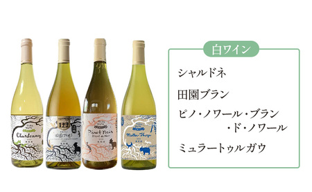 【3ヵ月定期便】野生酵母で醸したワイン 毎月3本お届け (3ヵ月間) 多田ワイナリー 北海道 上富良野町 ワイン 赤ワイン 白ワイン 微発泡ワイン オレンジワイン