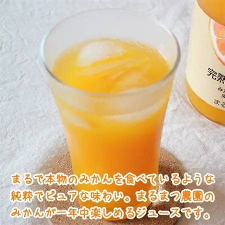 みかん農家が作った 温州みかんジュース 果汁100%ストレート720ml×2本 和歌山県【1542296】