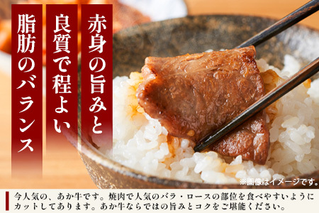 【 定期便 12回 】 熊本あか牛 焼肉用カット ( バラ ・ ロース ) 500g × 12回 【 合計 6kg 】 国産 牛肉 冷凍 熊本 熊本県産 あか牛 赤牛 切り落とし 041-0166