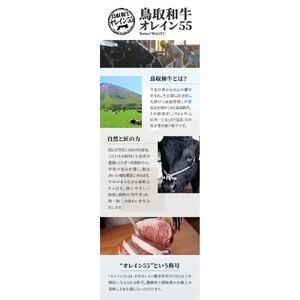 鳥取和牛オレイン55　ヒレステーキ　3枚（360g）1290