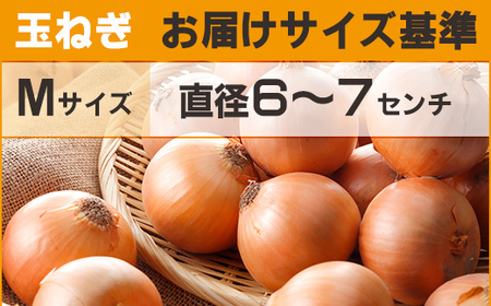 【先行予約】玉ねぎ Mサイズ 20kg 大空町産（2026年10月上旬より発送） OSR010 | 玉ねぎ