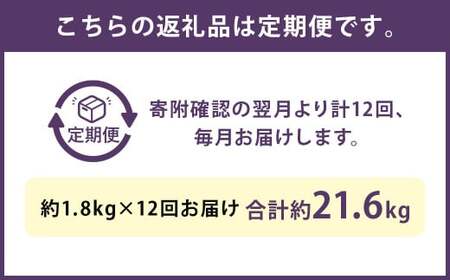 【12ヶ月定期便】くまもと黒毛和牛サーロインステーキブロック 約1.8kg 計約21.6kg ステーキ 肉