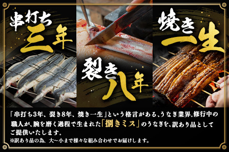 【訳あり】2週間以内発送 うなぎ白焼き 訳あり 不揃い 合計1kg（4～10尾入り）玄人の一品 バラツキ 数量限定 宮崎県産 冷凍 蒲焼タレ付【E224】