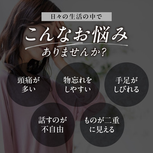 脳ドックプラチナ 0112-004-S06