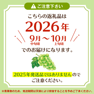 【2026年 先行予約】ぶどう「シャインマスカット」2房 (約1.3kg～1.4kg) 山形県 東根市 hi003-153　マスカット ブドウ 葡萄 フルーツ 果物 くだもの 大粒 大きい 果実  お取り寄せグルメ 期間限定 産地直産 ご当地 お取り寄せ グルメ 東北 山形県 東根市