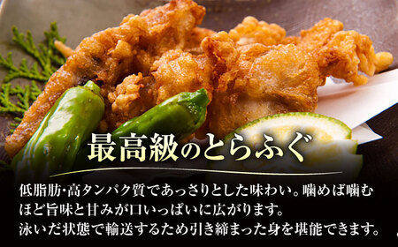 【先行予約】泳ぐ・とらふぐ 唐揚げ（味付なし） 1匹分 [HAB004]とらふぐ トラフグ ふぐ