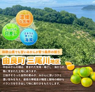 ゆら早生みかん5kg ※2026年10月中旬頃～10月下旬頃に順次発送予定  【nktn003-r-5】