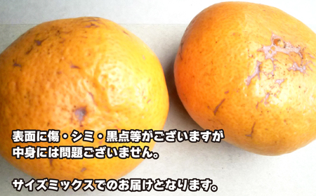 訳あり 早生 6kg ふるくとファーム 先行予約 かなこちゃんち 果物 くだもの フルーツ 柑橘 みかん 蜜柑 mikan ビタミンC たっぷり 愛媛ミカン 愛媛蜜柑 愛媛みかん 農家直送 産地直送 数量限定 国産 愛媛 宇和島 B010-037004