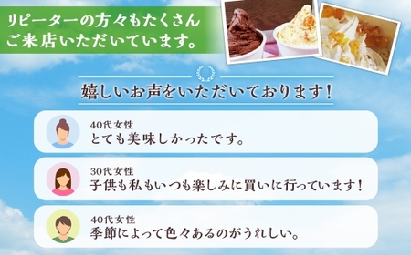うずまきもなかアイス10個セット ／ 最中 アイス ジャージー牛乳 ジェラート チョコ バニラ 枇杷 イチゴ 抹茶 ラムレーズン クッキークリーム ブルーベリー マンゴー パイナップル シャーベット 冷凍 デザート 長崎