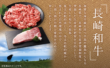 【全6回定期便】長崎和牛 切り落とし 約400g (カタ モモ バラ ロース スネのいずれか) 合計2.4kg ／ 和牛 国産 肉 お肉 焼肉 和牛 切落し きりおとし 牛脂付 部位お任せ 長崎県 長崎市
