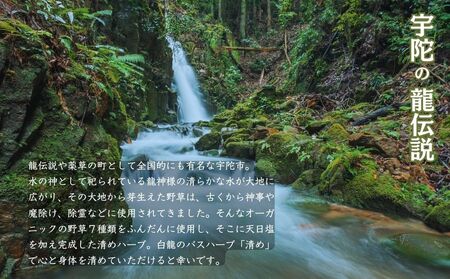 白龍のバスハーブ 「清め」2箱セット/ 一如庵 垣通し 熊笹 月桂樹 肉桂 真菰 松 蓬 天日塩 塩 浄化 ギフト 贈り物 龍伝説 入浴剤 送料無料 奈良県 宇陀市 ふるさと納税