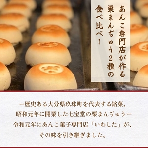 あんこ菓子いわしたの栗まんぢゅう２種詰め合わせ 大分 玖珠町 銘菓 栗まんぢゅう 昭和元年 七宝堂 甘さ控えめ さらっと口あたり 自家製こしあん 桃山 しっとり 食べ比べ 伝統 和菓子 和スイーツ スイーツ 栗 まんじゅう お菓子 専門店 名店 伝承 ふるさと