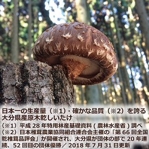 大分産椎茸こうしん 150g（50g×3袋）大分 椎茸 しいたけ 干ししいたけ 乾燥しいたけ 原木 水戻し 香り 味 和食 中華 小分け お裾分け 保存 香ばしい 旨み 大分しいたけ シンボルマーク シリアル番号 食材 国産 風味たっぷり 安心 美味しい