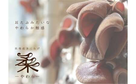 玖珠町産きくらげピクルス&乾燥きくらげのセット 玖珠町 きくらげ ピクルス 乾燥 国内産 安全 安心 栽培 ブランド 柔やわら 肉厚 食感 おかず おつまみ 炒め物 ぬるま湯 戻す 国産 プリプリ 大分県 栽培 耳たぶ 玖珠 食感 柔らかさ