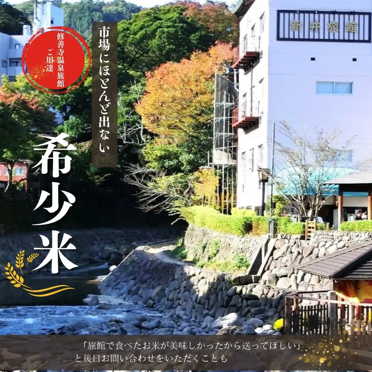 米 桂流 こしひかり 米 （ 数量限定 100 セット）米 特別栽培米 米 ５㎏  015-013